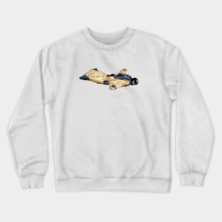 Wingsuit Crewneck Sweatshirt